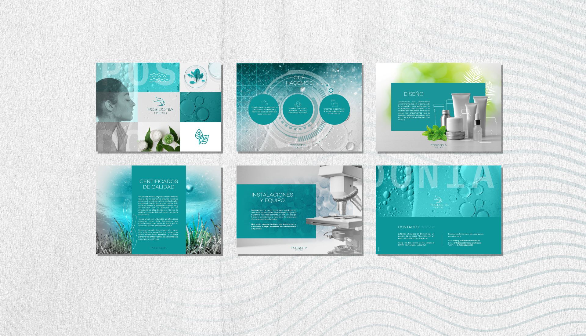 Agencia de publicidad en Alicante: logo posidonia cosmetics